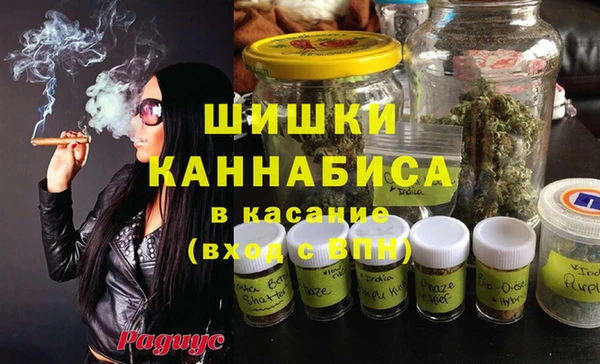 стафф Заволжье