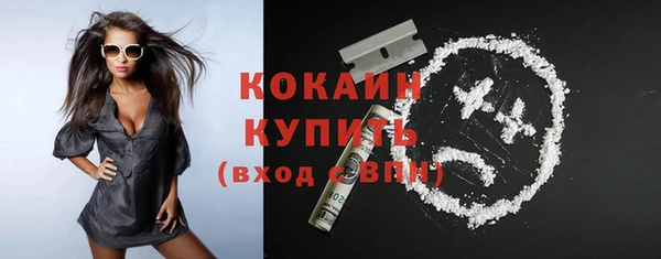 spice Ельня