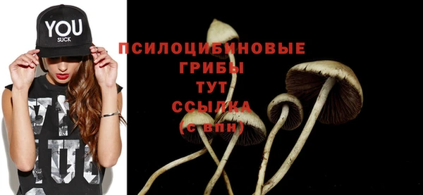 ECSTASY Елабуга