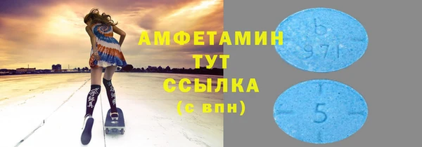 spice Ельня