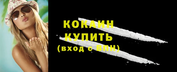 spice Ельня
