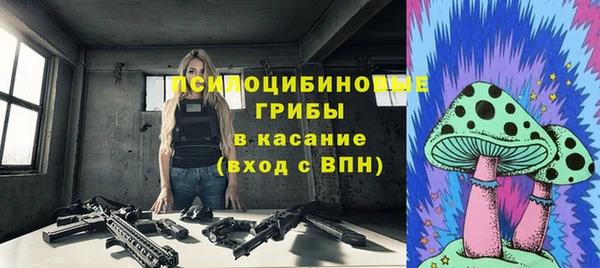 apvp Усинск