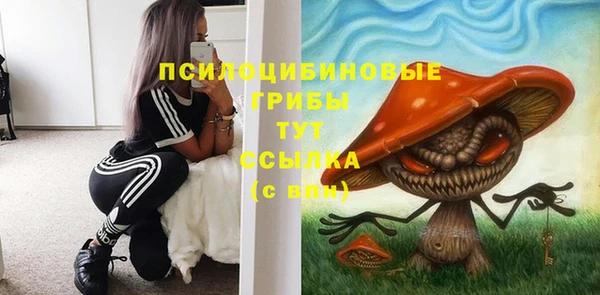 spice Ельня