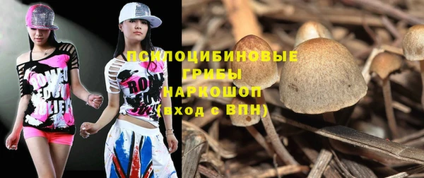 трава Елизово