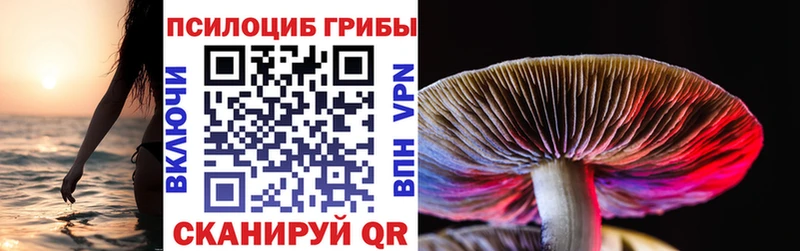 kraken маркетплейс  Новочебоксарск  Псилоцибиновые грибы мухоморы 