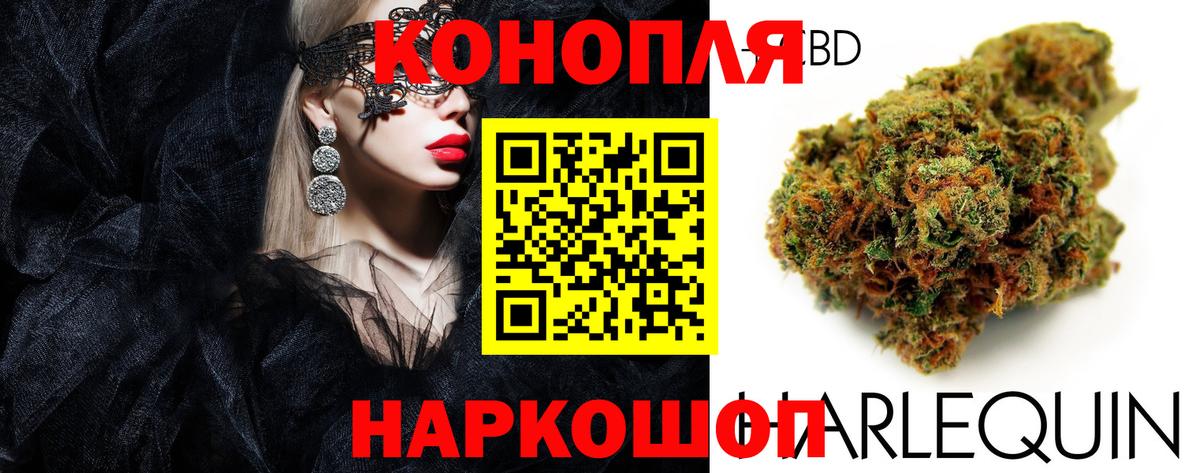 A PVP Новочебоксарск